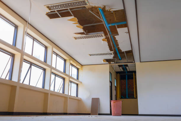Best Ceiling water damage repair  in Oakdale, LA