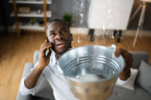 Best Professional water damage repair  in Oakdale, LA