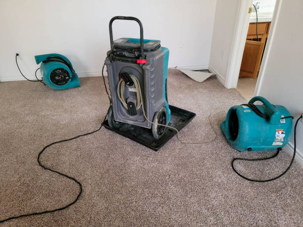 Best Water damage restoration specialists  in Oakdale, LA