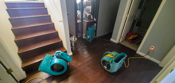 Best Flood restoration services  in Oakdale, LA