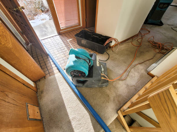 Best 24/7 water damage repair  in Oakdale, LA
