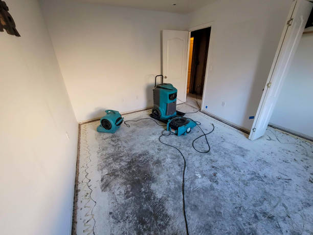 Best Fire Damage Restoration  in Oakdale, LA