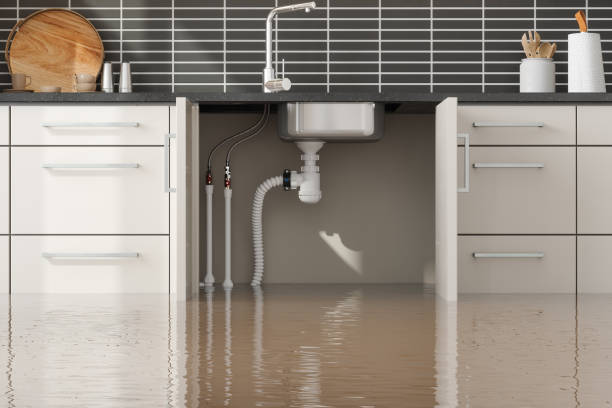 Best Flooded house restoration  in Oakdale, LA