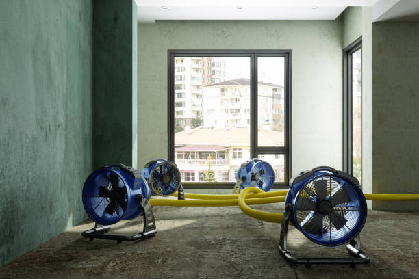 Water damage restoration process in Oakdale, LA
